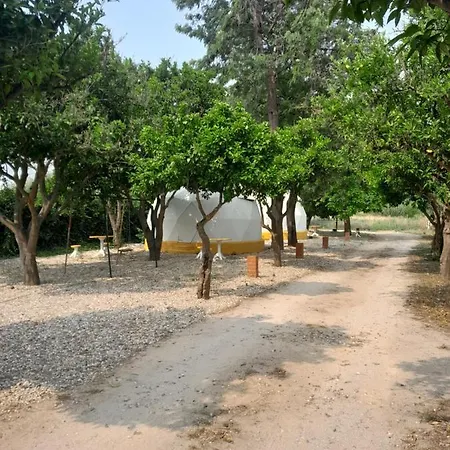Pateo Das Laranjeiras Tomar Exterior photo