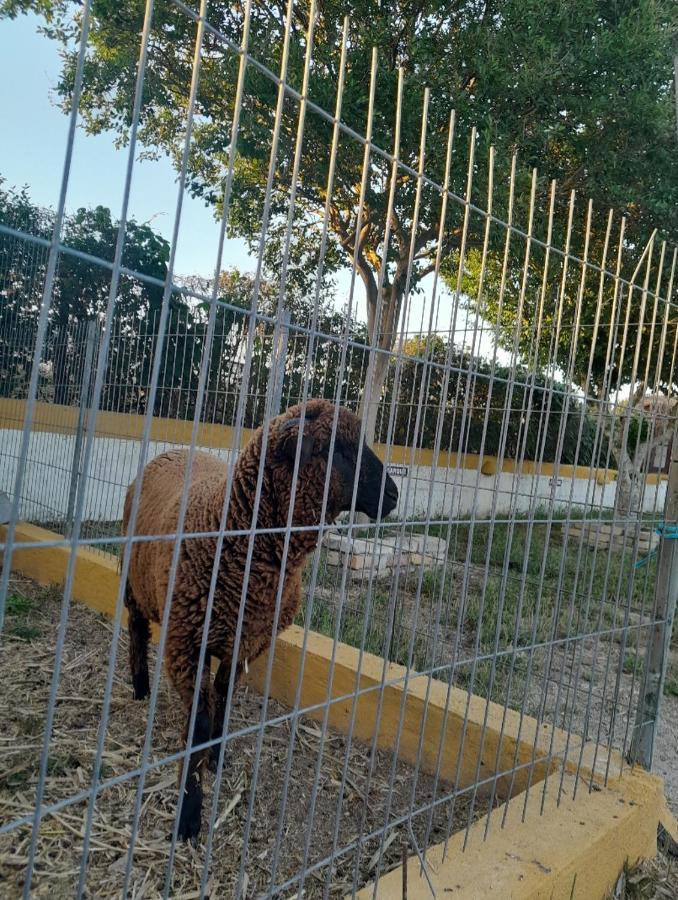 Pateo Laranjeiras